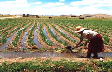 MINAGRI destina más de 55 millones para infraestructuras de riego en Puno
