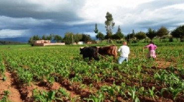 Ollanta, el gobierno más anti-agrario de los últimos 25 años