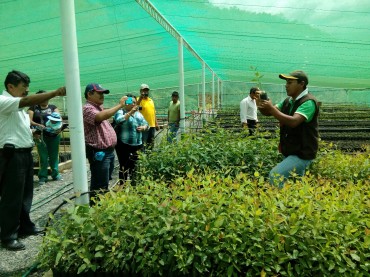 Puno: Autoridades bolivianas asombradas con cultivo de café
