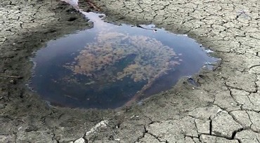 Sequía en EEUU: California sufre la peor sequía en mil años