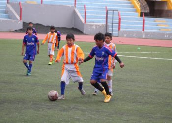 Niños que jugaron en pasadas temporadas ahora son parte de equipos de primera división.
