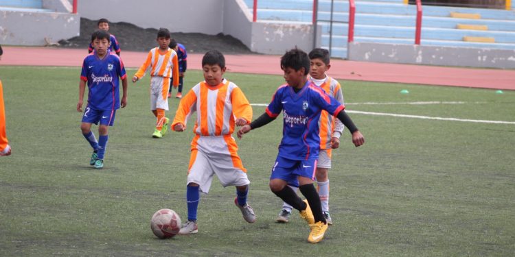 Niños que jugaron en pasadas temporadas ahora son parte de equipos de primera división.