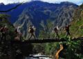 Disponen el cierre temporal de la Red de Caminos Inca de Machu Picchu.