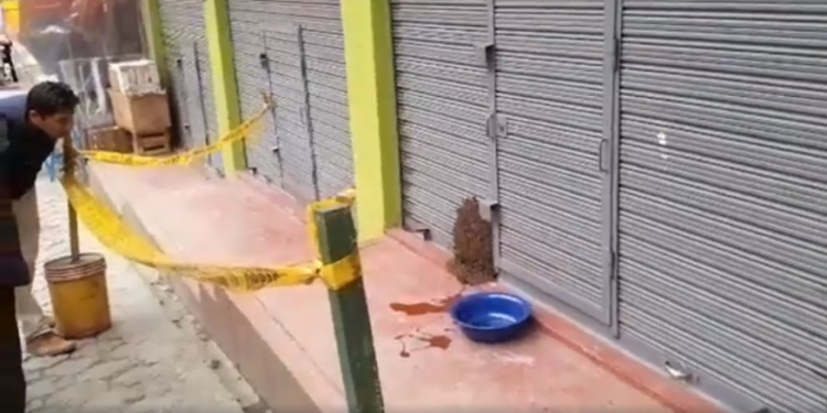Un enjambre de abejas causó pánico entre los pobladores de un mercado en la provincia de Sandia.