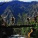 Los boletos de ingreso a la Red de Caminos Inca vendidos para el periodo del 1 al 15 de marzo, podrán ser reprogramados o se devolverá el importe pagado. No se perderá el ingreso a la Llaqta de Machu Picchu. (Andina).