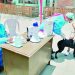 Hoy y mañana realizarán campaña de inmunización contra la rabia a mascotas en Majes