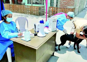 Seis mil dosis contra la rabia para vacunar a canes desde el 4 de abril en El Pedregal