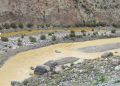 Empresa minera Aruntani contaminó el río Tambo afectando a 60 mil personas