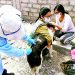 Más de 20 mil canes serán vacunados contra la rabia en Cayma