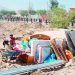 Desalojan a 114 familias invasoras en sector Villa Magisterial en Cerro Colorado