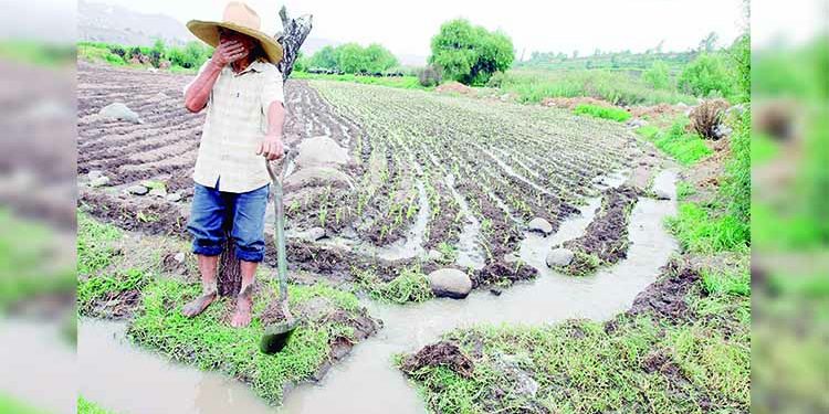 Agricultores conmemoran su día en medio de tristeza y falta de insumos para el campo