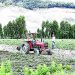 Agricultores de Arequipa pueden acceder a seguro por daños en sus cultivos