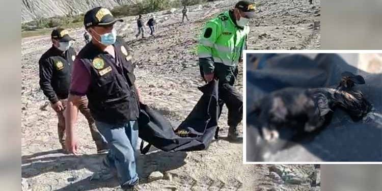 Arequipa: Niño de 4 años murió ahogado tratando de salvar a su mascota de pozo