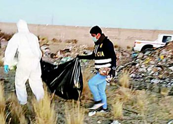 Encuentran cadáver de joven mutilado y perros comían sus restos en Cerro Colorado
