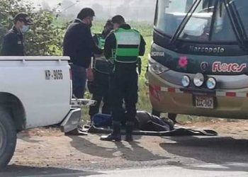 Extranjero muere dentro de bus de empresa Flores que hacía la ruta Arequipa - Lima
