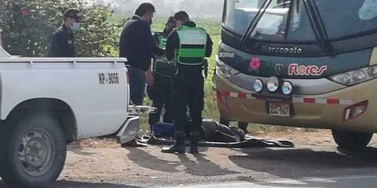 Extranjero muere dentro de bus de empresa Flores que hacía la ruta Arequipa - Lima