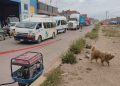 Obras de ciclovías en Juliaca causa controversia y rechazo por pobladores