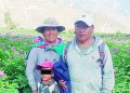 ¡Mujer pide justicia! Camioneta de municipio de Tapay atropelló y mató a su esposo