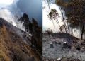 Incendios forestales arrasaron con todo en Cuyocuyo y Ollachea este fin de semana