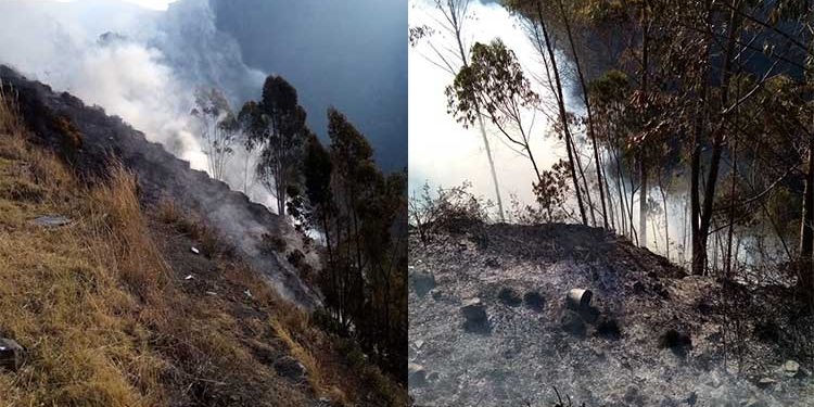 Incendios forestales arrasaron con todo en Cuyocuyo y Ollachea este fin de semana