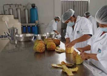 Entregan equipamiento para procesar frutas a productores de San Gabán