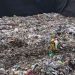 Juliaca es la localidad que mas basura genera en la región Puno con medio millón de habitantes