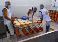 Inauguran e implementan planta quesera en Yanarico-Vilque con 160 mil soles