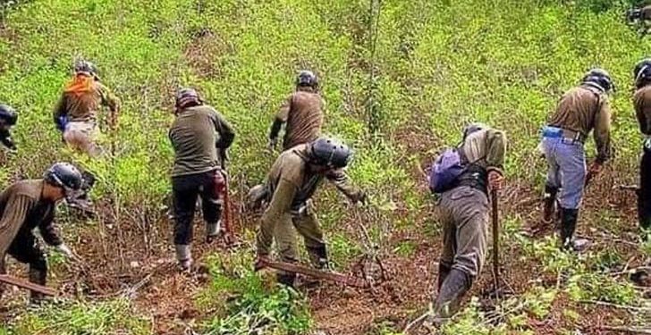 San Gabán: Crece tensión por presencia de personal militar en el sector Selva Verde
