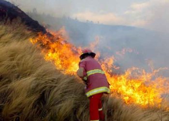 Bomberos de Puno requieren equipos y vehículos para atender incendios forestales
