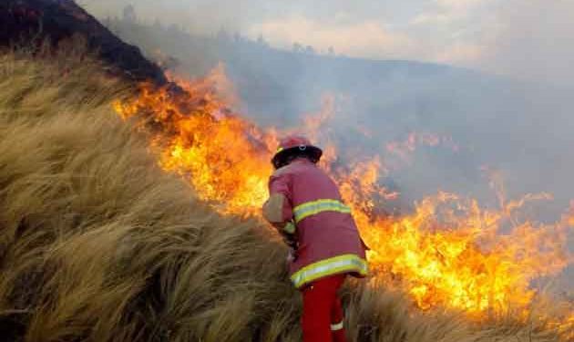 Bomberos de Puno requieren equipos y vehículos para atender incendios forestales