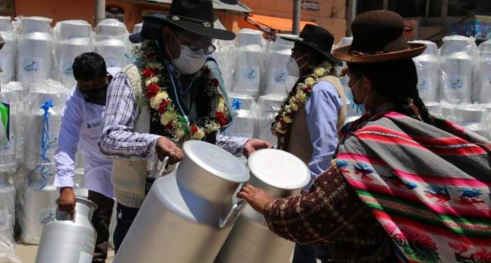Entregan 1.049 porongos lecheros a productores de Puno, Chucuito y El Collao