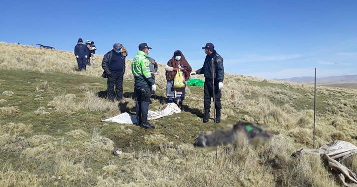 Azángaro: Rayo mata a ganadero de Potoni mientras realizaba labores de pastoreo
