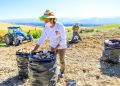 Gobierno peruano: La segunda reforma agraria busca el desarrollo rural no la expropiación