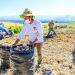 Gobierno peruano: La segunda reforma agraria busca el desarrollo rural no la expropiación