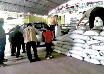 Agricultores piden al gobierno central aplazar exoneración en compra de fertilizantes