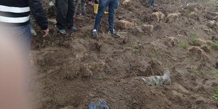 Pilcuyo: Hallan cuerpo de pescador enterrado en un área de cultivo a orillas del lago