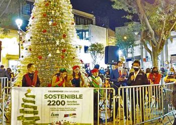 Industrias San Miguel instala 2 árboles con plástico reciclado en Sachaca