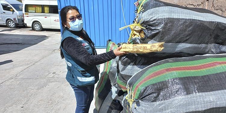 Decomisan más de 2 toneladas de leña de Palo Santo en frontera Perú - Bolivia