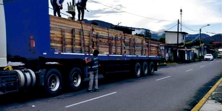 Decomisan más de 4 mil pies tablares de madera de procedencia ilegal