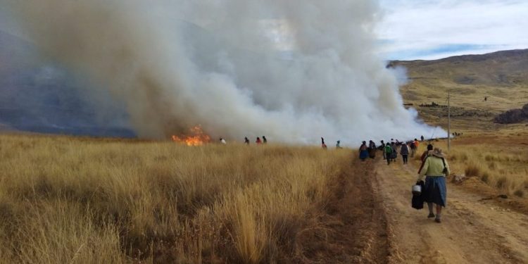 93 alertas de incendios forestales y más de mil focos de calor en Puno